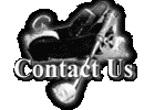 How to Contact Us